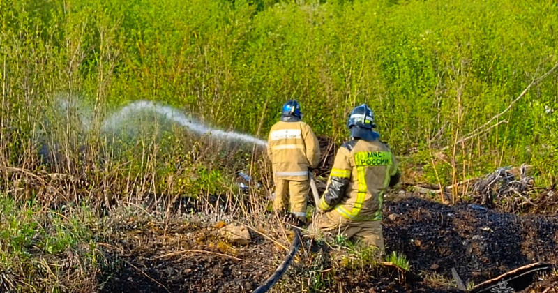 Пожарные не дали огню перейти на лесной массив
