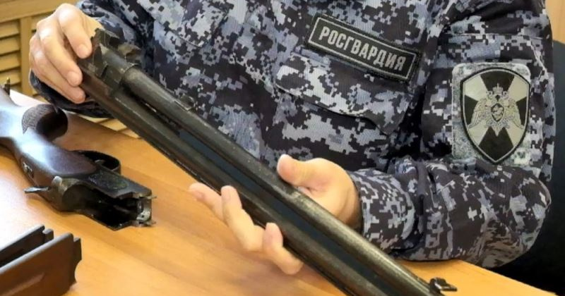 Сотрудники Росгвардии изъяли 29 единиц оружия в июне