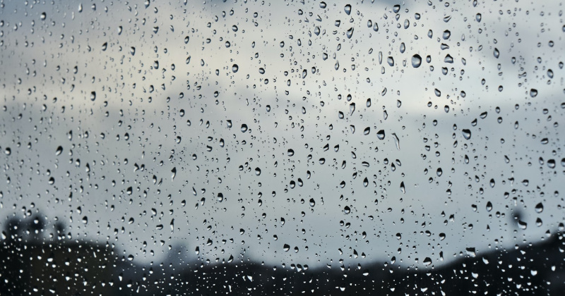 В Магадане 16 июля пасмурно, ночью небольшой дождь, днем умеренный дождь
