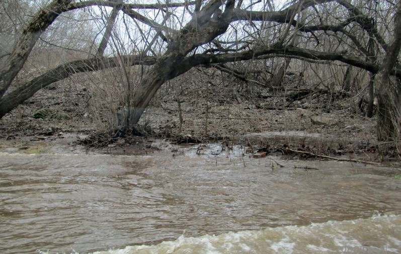 Природоохранной прокуратурой пресечено загрязнение ручья Танон и водоохранной зоны