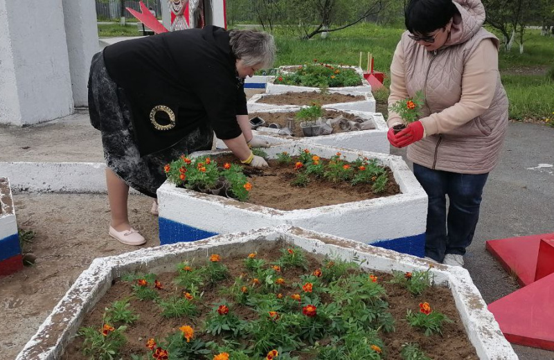 Партийцы украшают поселения Ольского округа цветами, выращенными своими руками