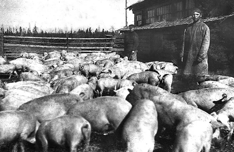 10 июля 1967 года создан зональный Научно-исследовательский институт сельского хозяйства Северо-Востока