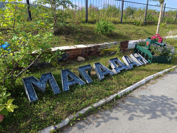 Пионы, фиалки, люпины, маргаритки, лилии, васильки и розы представили магаданцы на суд жюри «Северного соцветия-2025»