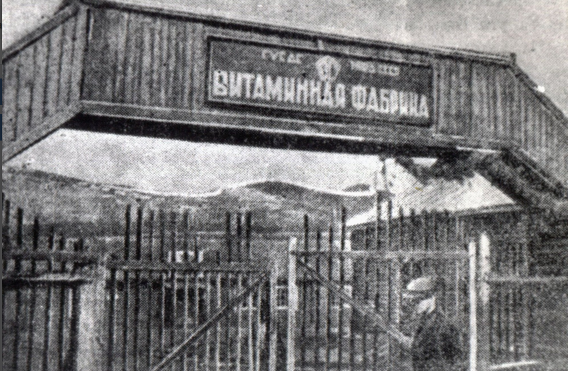 10 августа 1934 года была организована и открыта витаминная лаборатория Сануправления Дальстроя, которую возглавляла А.Г. Шульгач.