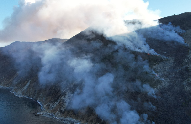 В настоящее время ликвидацией пожара на о.Недоразумения занимаются работники МОГБУ «Авиалесоохрана» и регионального ПСЦ