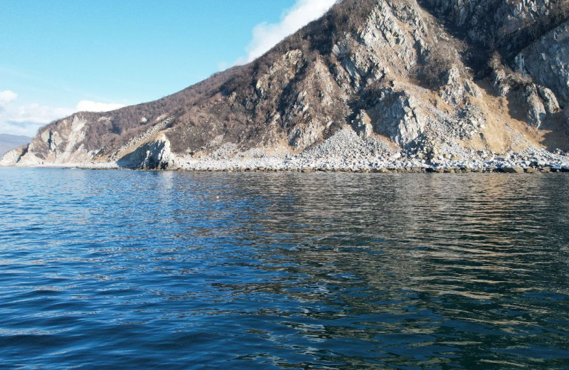 Лесной пожар на острове Недоразумения ликвидирован