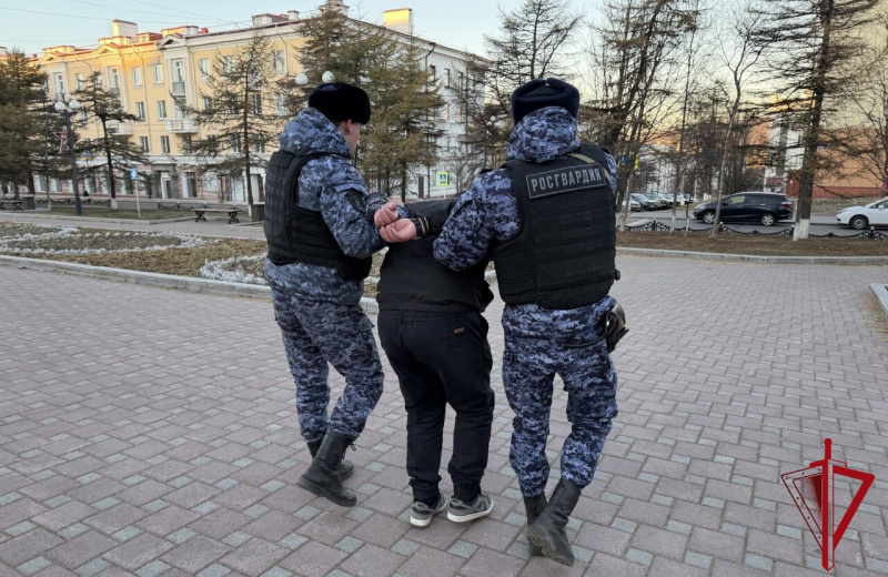 Колымчанина осудили за применение насилия и оскорбление сотрудника Росгвардии