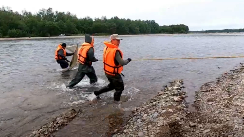 Охотское территориальное управление Росрыболовства объявило торги на три рыболовных участка