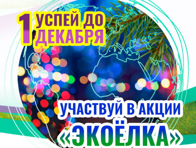 Жителей Магаданской области приглашают принять участие во Всероссийской акции «Экоёлка»