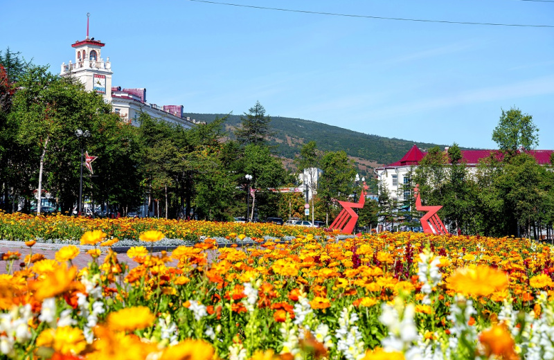 Более 1,5 тысячи кустарников, свыше 350 деревьев и 180 тысяч цветов украсили Магадан в сезоне благоустройства-2025