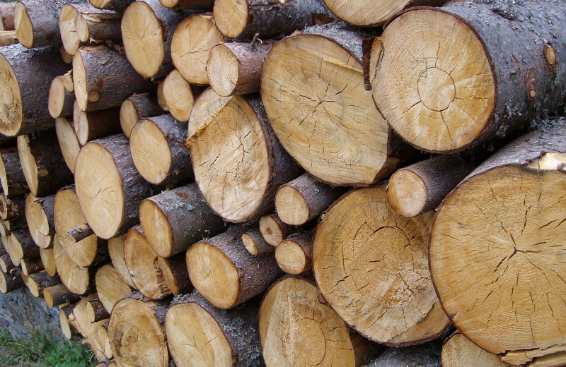 Предприятию Колымы Россельхознадзором выдано предостережение за неизвещение о доставке партии круглой древесины