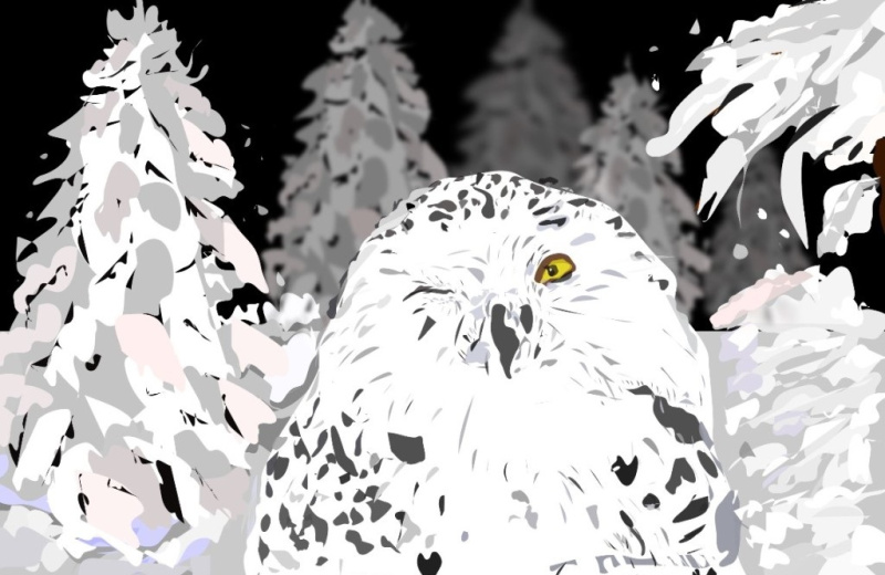 Почти семьдесят магаданцев стали участниками ежегодного конкурса компьютерной графики «Страна северного сияния»