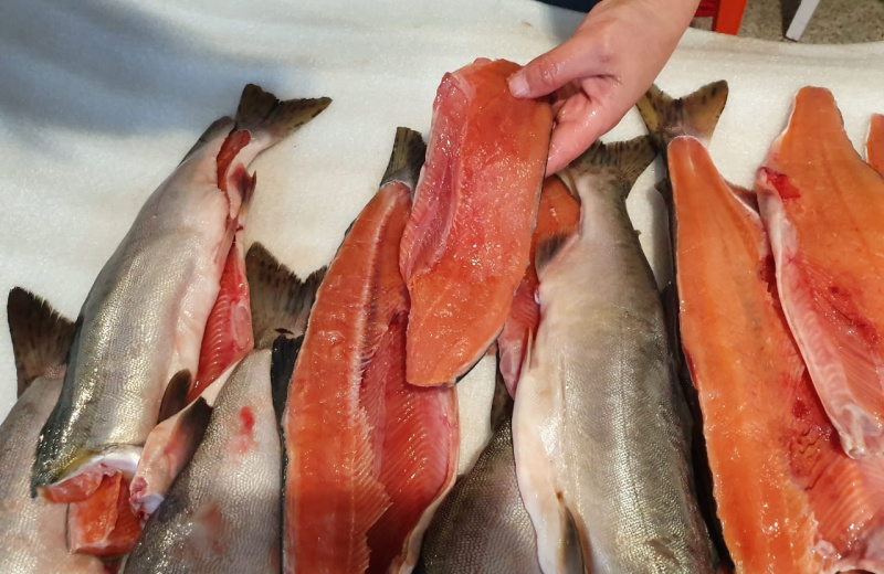 Магаданская область расширяет внутреннее потребление местной рыбной продукции