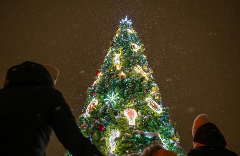 Праздничным убранством засияют елки в Магадане 12 декабря