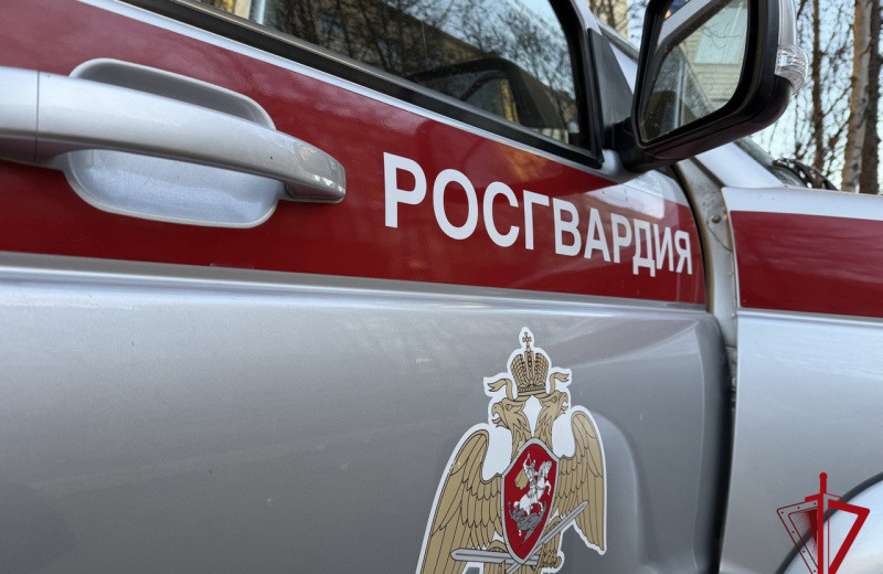 В Росгвардии подвели итоги надзора за деятельностью частных охранных предприятий Колымы