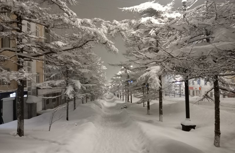 За две недели в Магадане выпала трехмесячная норма осадков при аномально высокой для этого времени года температуре