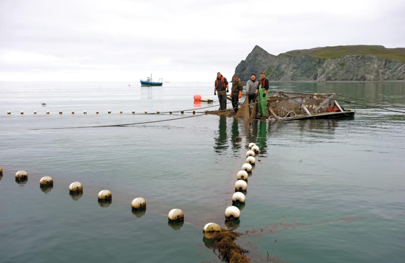 Путину-2025 в Магаданской области завершили с результатом 13 тысяч тонн