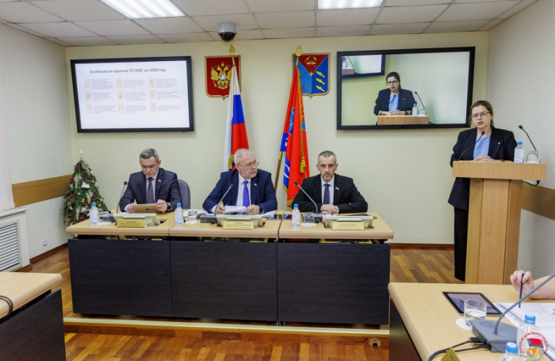 Бюджет Территориального фонда ОМС на предстоящую «трехлетку», новые меры поддержки семей: итоги заседания комитета по социальной политике