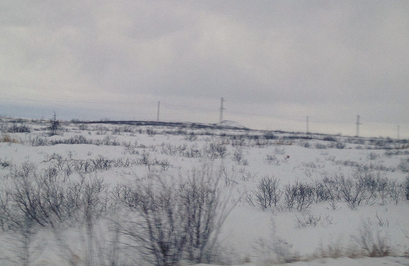 Сильный ветер ожидается в Ольском районе