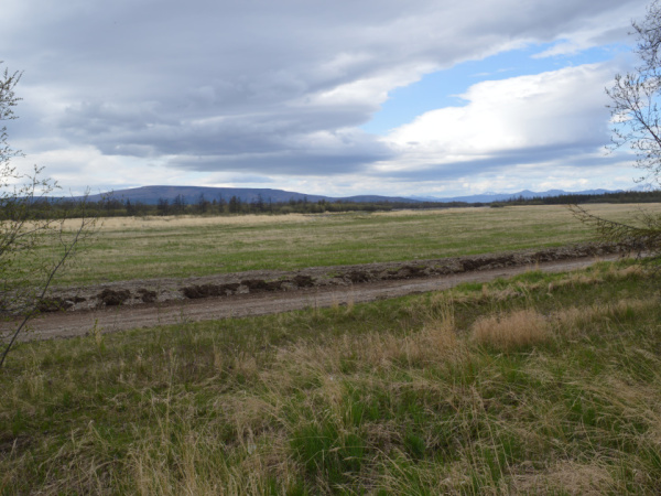 ����� �������� ��������� ������� ����������� ����� �������� ��������� � ������� ���� ��������� �������