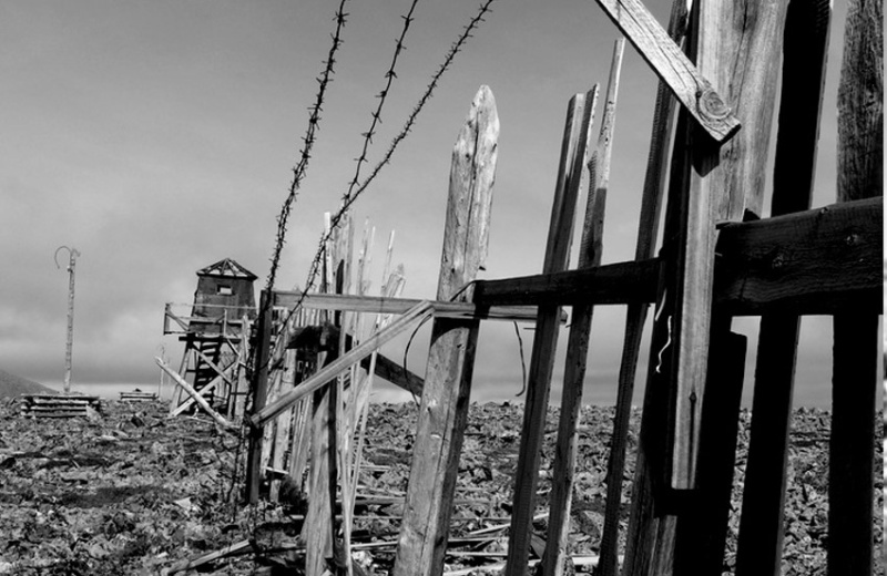 Лаборатория исторических исследований библиотеки имени А. С. Пушкина приглашают на встречу с П. И. Цыбулькиным.