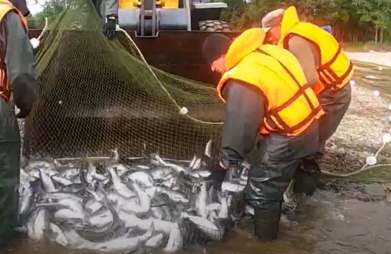 Жителей Магаданской области приглашают принять участие в обсуждении квот на вылов водных биоресурсов на 2027 год