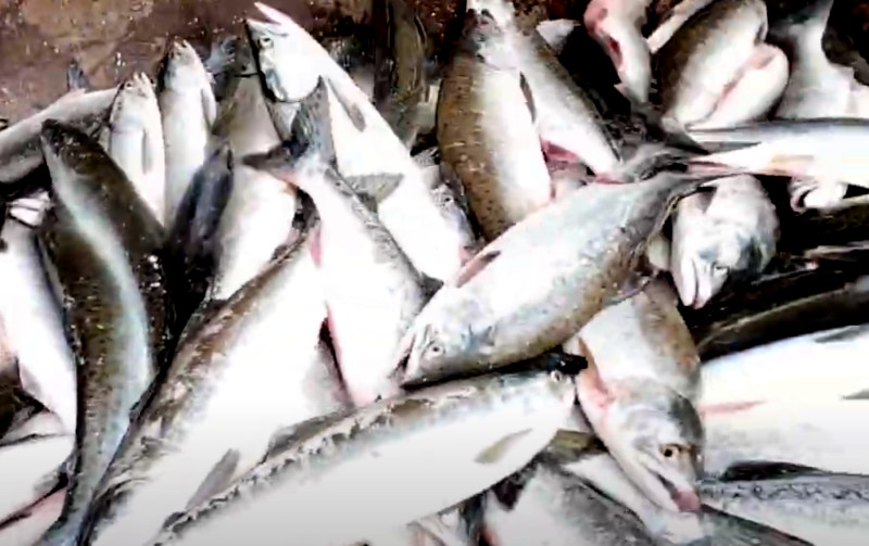 Перед судом предстанет обвиняемый в совершении преступления в сфере экономической деятельности