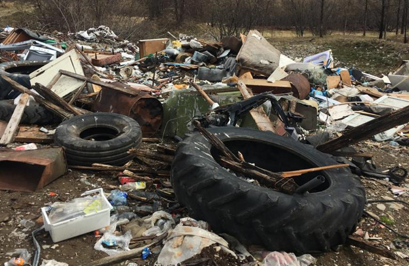 За нарушения в области окружающей среды виновные лица привлечены к административной ответственности