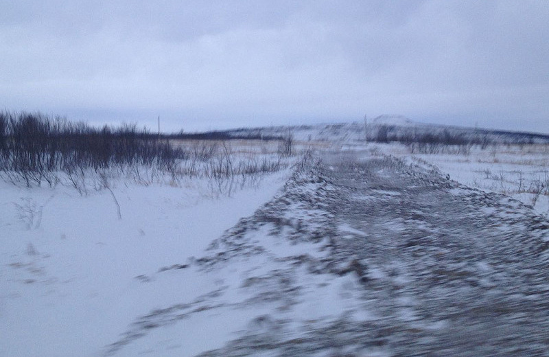 Сильный ветер с метелью ожидается в регионе