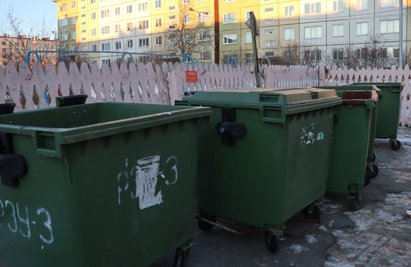 Что делать, если мусорных контейнеров во дворе недостаточно