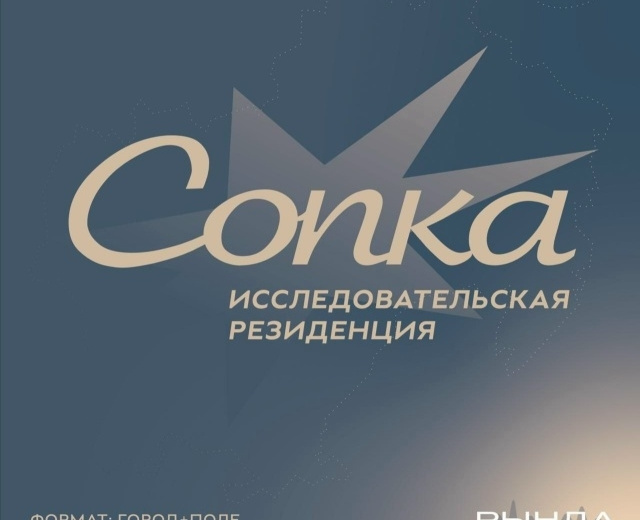 В рамках арт-резиденции «Сопка» в Культурном центре парка «Маяк» пройдут встречи с художницами