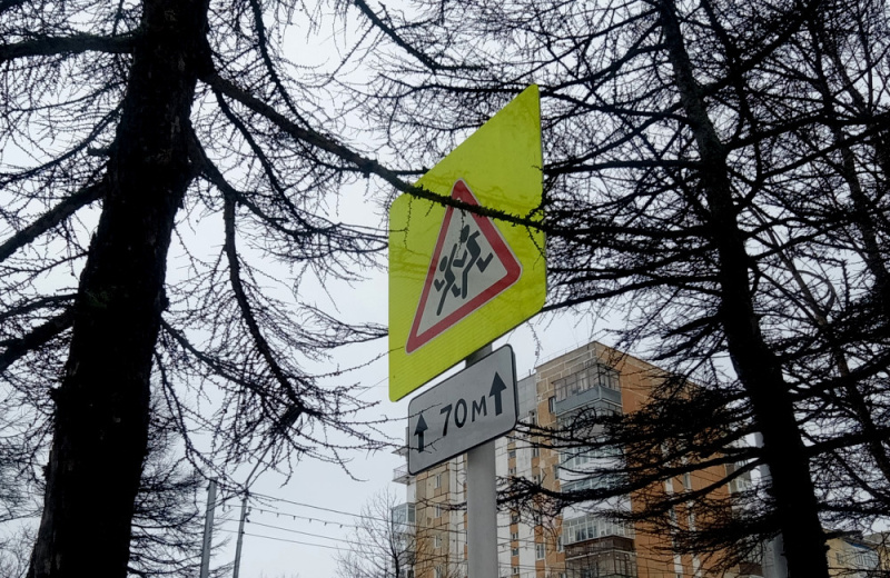 В прямом теле- радиоэфире медиахолдинга «Колыма Плюс» полицейские и общественники рассказали о правилах детской безопасности на дороге