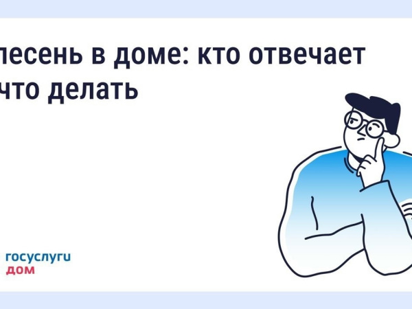 Что делать, если в квартире появилась плесень