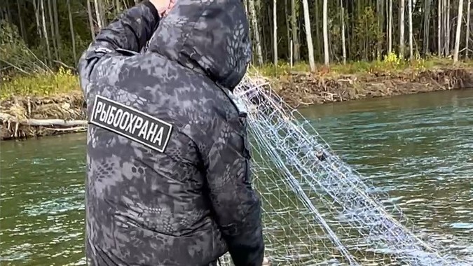 Инспекторским составом рыбоохраны проведено 12 контрольных (надзорных) мероприятий по охране биологических ресурсов