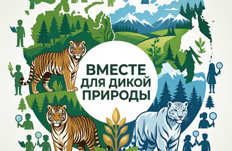 Голосуйте за краснокнижных животных Магаданской области!