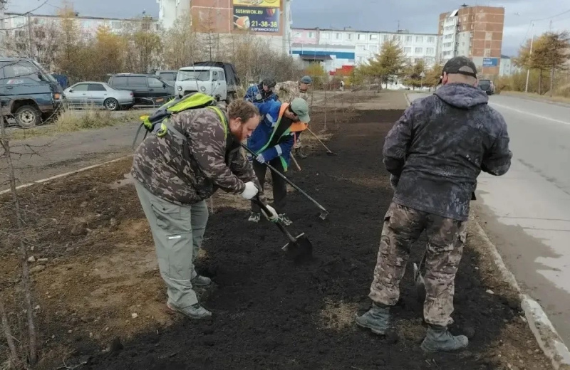Итоги сентябрьского озеленения подвели в КЗХ Магадана